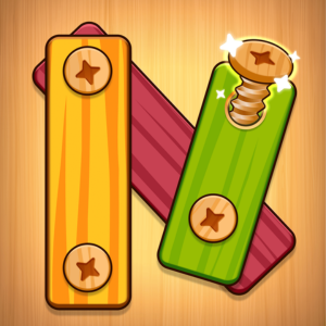 Nuts And Bolts Screwing Puzzle